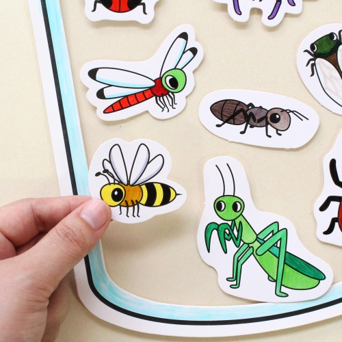 컬러링 곤충관찰 5set