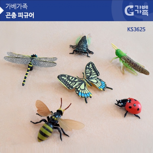 () KS3625 ǱԾ