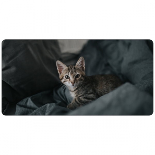 고양이 매트 데스크매트 마우스장패트 80x45x0.3cm