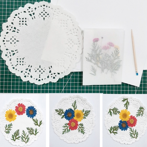 압화체험패키지/마가렛꽃3색혼합 꽃누르미만들기체험쎄트/컵받침/사진/ 체험패키지