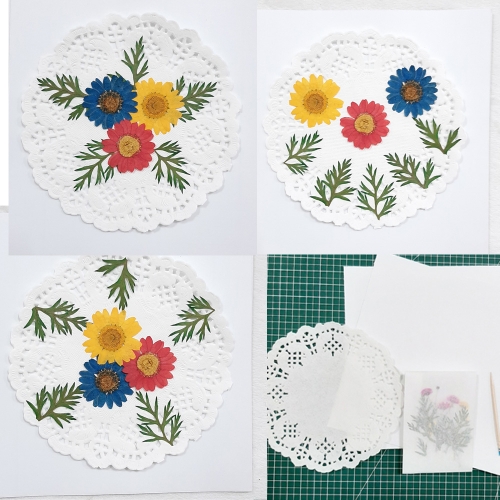 압화체험패키지/마가렛꽃3색혼합 꽃누르미만들기체험쎄트/컵받침/사진/ 체험패키지