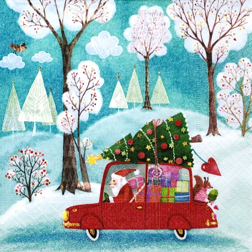 냅킨 Napkin 323(2장)