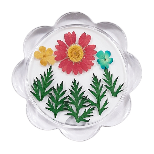 누름꽃체험 아크릴컵받침/액자만들기 마가렛꽃/압화체험재료