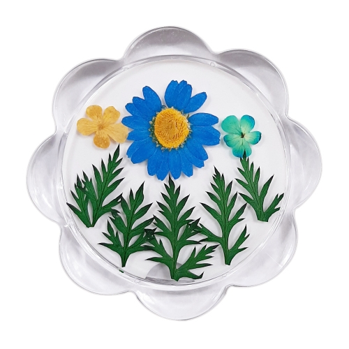 누름꽃체험 아크릴컵받침/액자만들기 마가렛블루꽃/압화체험재료