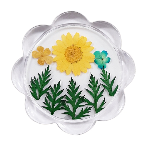 누름꽃체험 아크릴컵받침/액자만들기 노랑마가렛꽃/압화체험재료