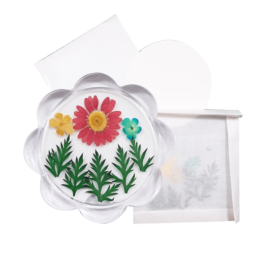 누름꽃체험 아크릴컵받침/액자만들기 노랑마가렛꽃/압화체험재료