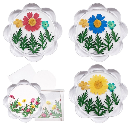 누름꽃체험 아크릴컵받침/액자만들기 노랑마가렛꽃/압화체험재료