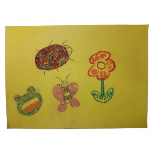 칼라종이사포 A4 A3 색당 5매 / A4 7색세트