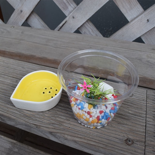 [3월 예약배송] [자연관찰] 올챙이(알) 키트