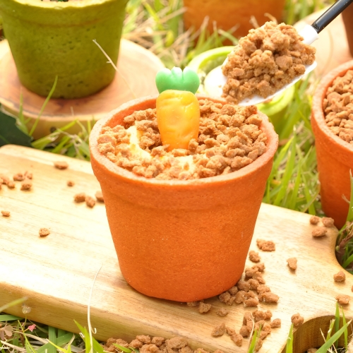 화분도 먹는 당근젤리 화분 컵케이크 만들기 10인 키트 (소분X)