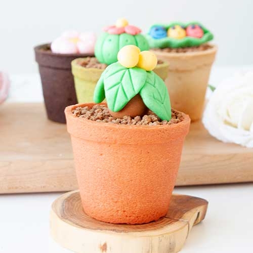 튼튼나무화분케이크(10인set,소분x)