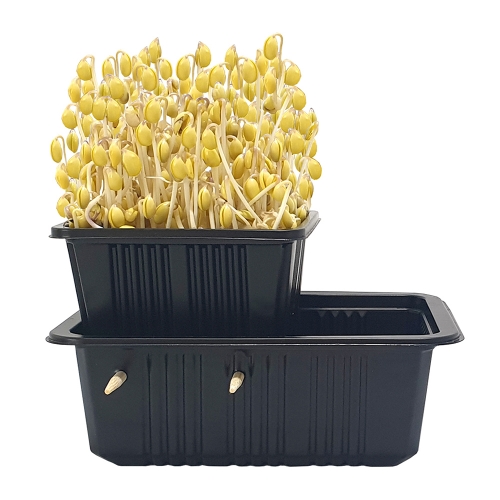 콩나물키우기/5인용