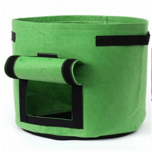 어린 농부 감자기르기 세트