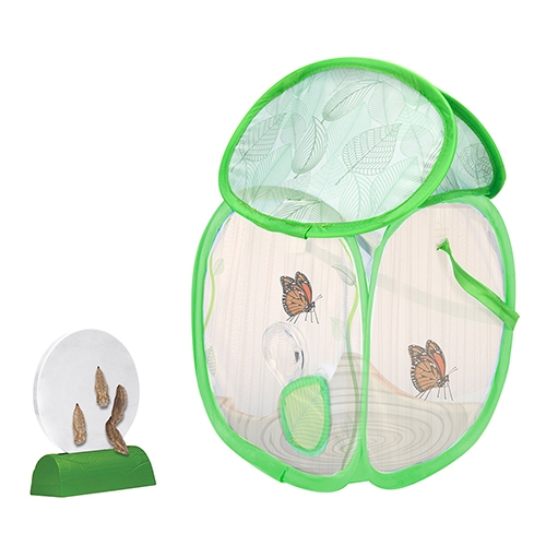 러닝리소스 버터플라이 방갈로