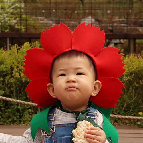 인간 카네이션 머리띠 (대형 사이즈)