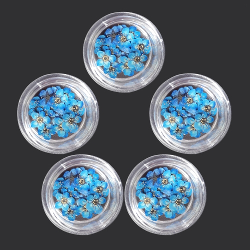 누름꽃재료/조팝꽂 블루20p/레진공예 네일아트 파츠 꽃소재