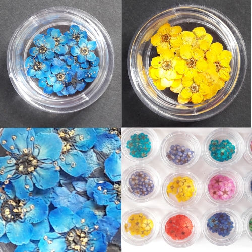 누름꽃재료/조팝꽂 블루20p/레진공예 네일아트 파츠 꽃소재