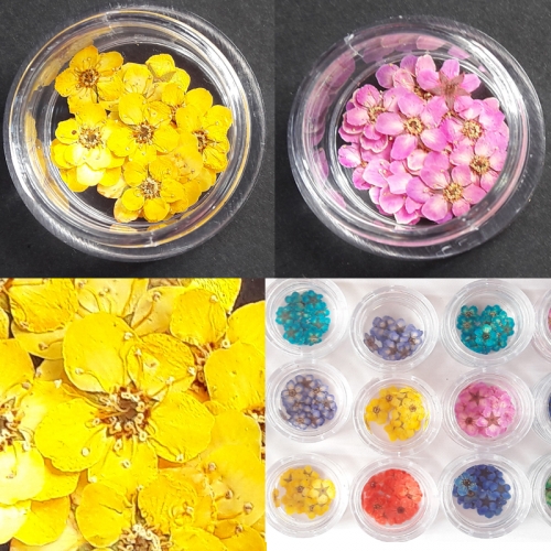 누름꽃재료/조팝꽂 블루20p/레진공예 네일아트 파츠 꽃소재