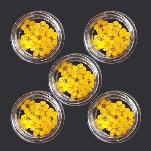 누름꽃재료/조팝꽂 옐로우20p/레진공예 네일아트 파츠 꽃소재