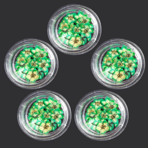 누름꽃재료/조팝꽂 그린20p/레진공예 네일아트 파츠 꽃소재