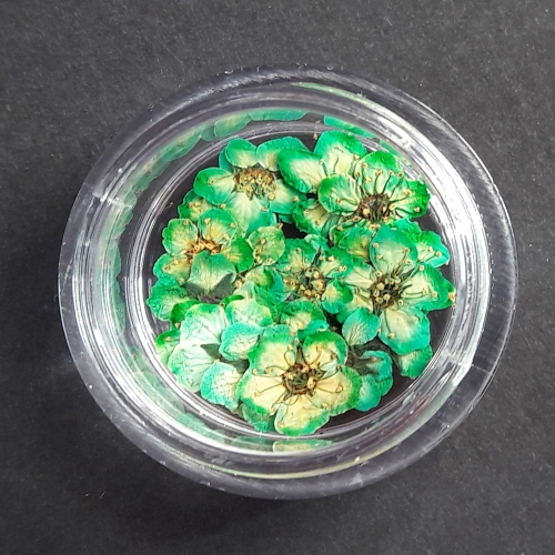 누름꽃재료/조팝꽂 그린20p/레진공예 네일아트 파츠 꽃소재