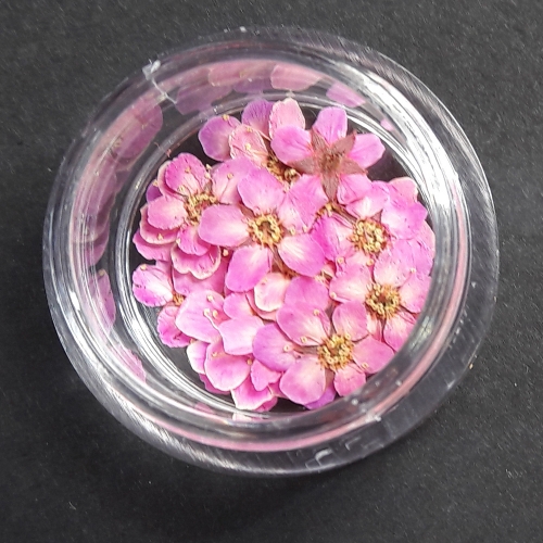 누름꽃재료/조팝꽂 핑크20p/레진공예 네일아트 파츠 꽃소재