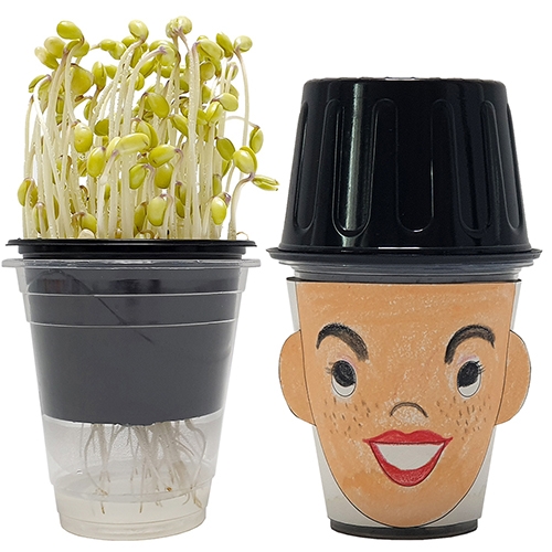 콩나물 재배하기(관찰/얼굴꾸미기)5인용