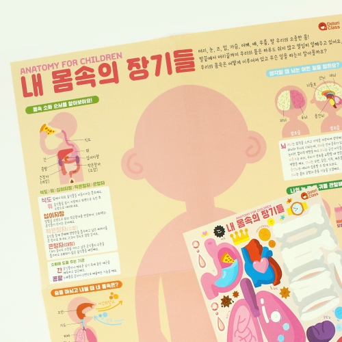 인체 컬러링 페이퍼