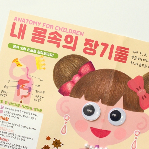 인체 컬러링 페이퍼