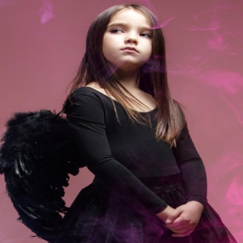 고급 깃털 날개 (소)