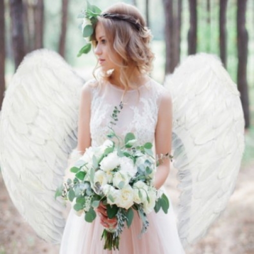 고급 깃털 날개 (대)