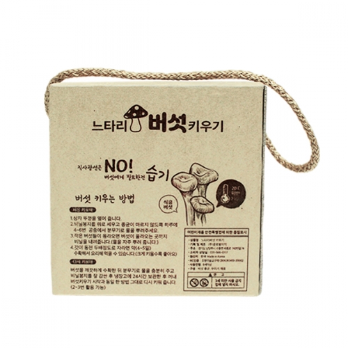 느타리 버섯 키우기_관찰일지/버섯 펠트지 포함