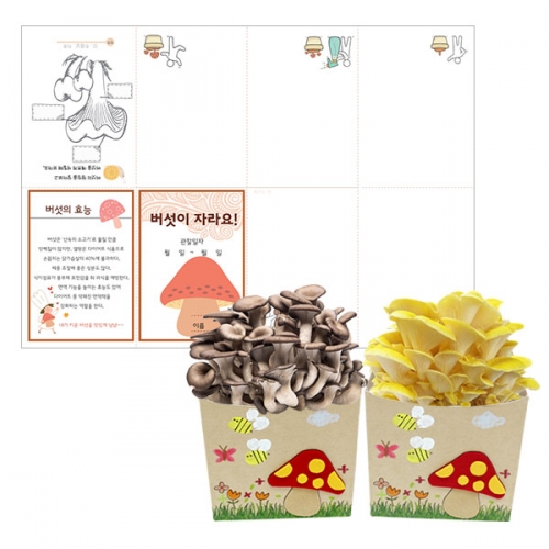 느타리 버섯 키우기_관찰일지/버섯 펠트지 포함