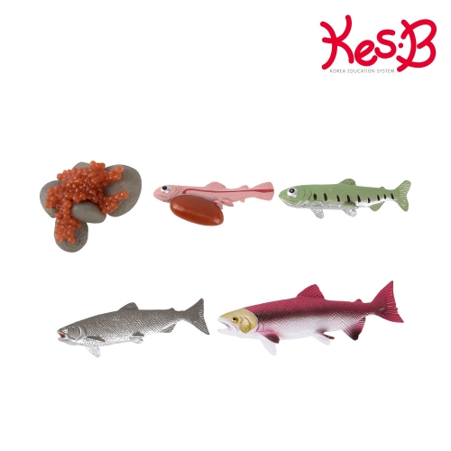 [캐스B]네이처 성장과정 피규어9종세트+활동지 (선택1)