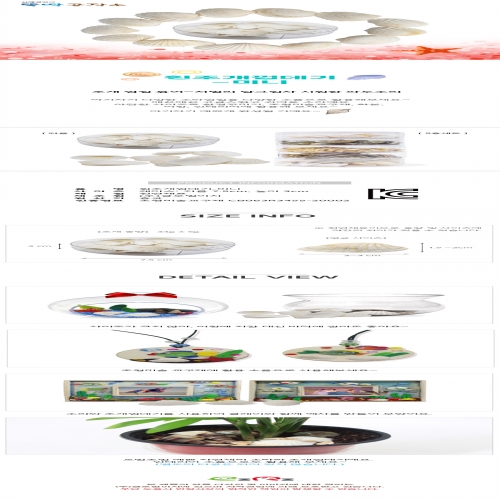 흰 조개껍데기_미니