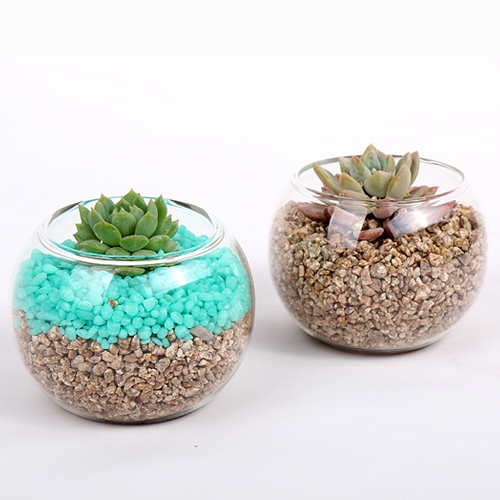 식물가습기 다육이 만들기 kit