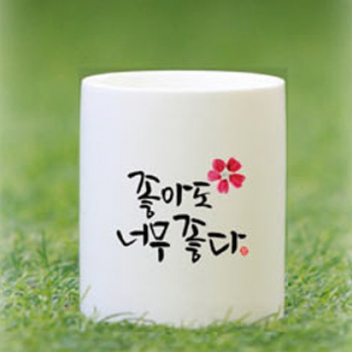 캘리화분_HP_04_좋아도너무좋다&스칸디나비아모스  키우기