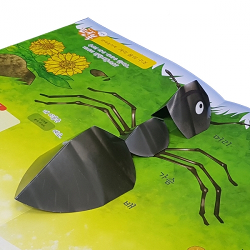 펀북 생태 [부지런한 개미]