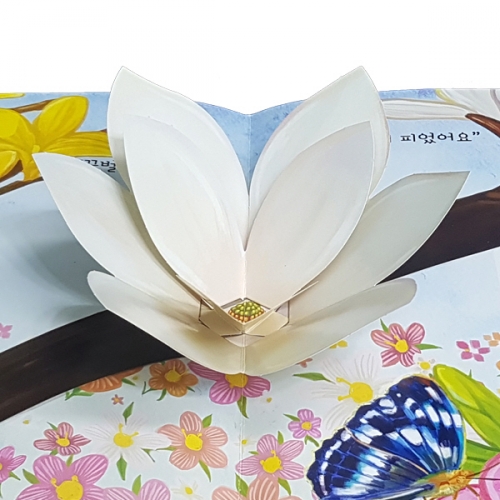 펀북 생태 [봄동산의 봄꽃]