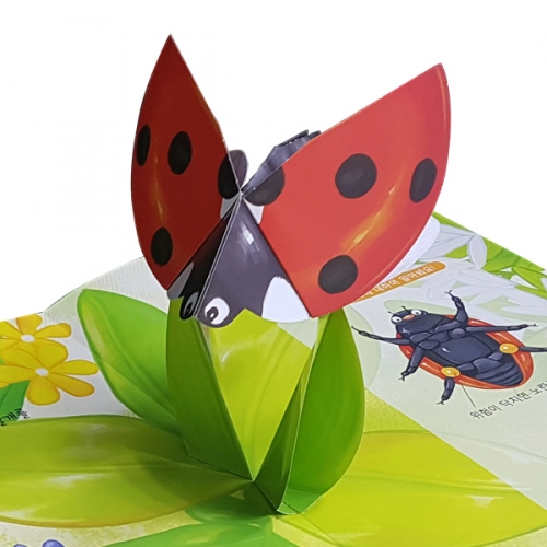 펀북 생태 [귀여운 무당벌레]