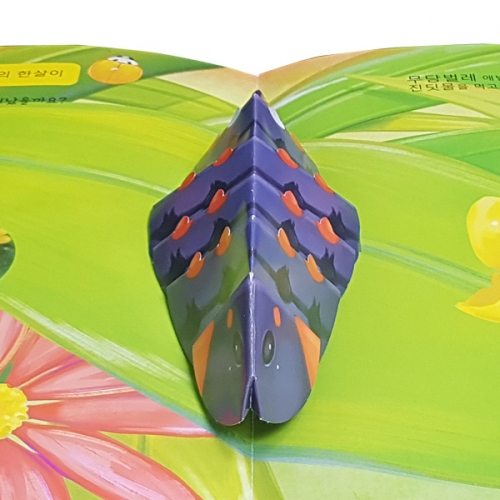 펀북 생태 [귀여운 무당벌레]