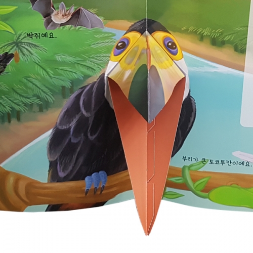 펀북 생태 [하늘을 나는 생물]