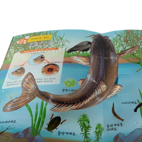 펀북 생태 [연못에 사는 생물]