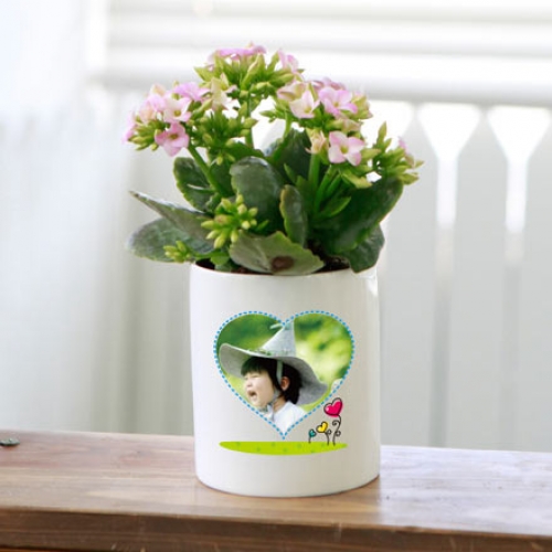 포토 화분 스칸디나비아모스 키우기 화분_하트스티치03(이끼선택)