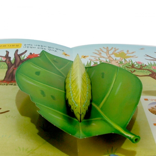 펀북 생태 [숲과 나뭇잎]