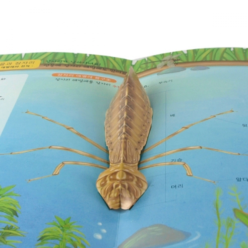 펀북 생태 [가을과 잠자리]