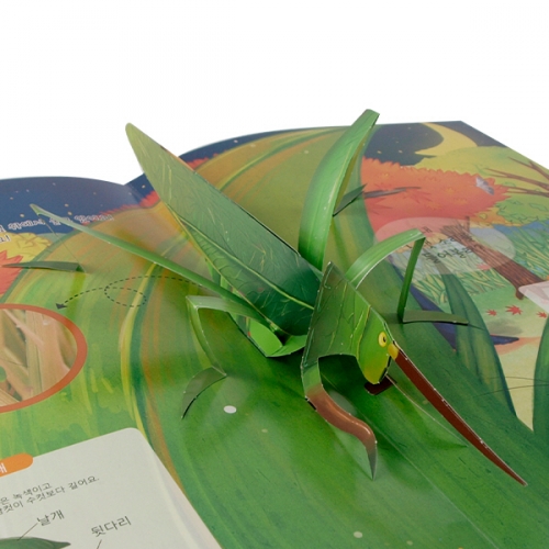 펀북 생태 [귀뚜라미의 노래]