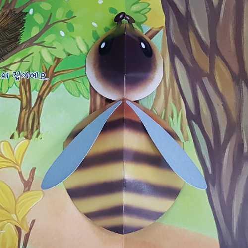 펀북 생태 [숲길 산책]