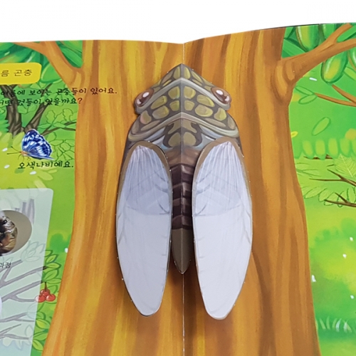 펀북 생태 [사계절 곤충]