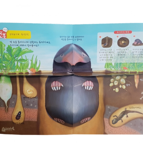 펀북 생태 [바닷 속의 생물]